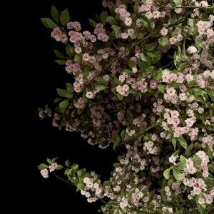 Meet your Posher, Posh